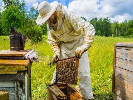 ВНИМАНИЕ!  АО «Советская МТС» (Курская область, Советский район) предупреждает.