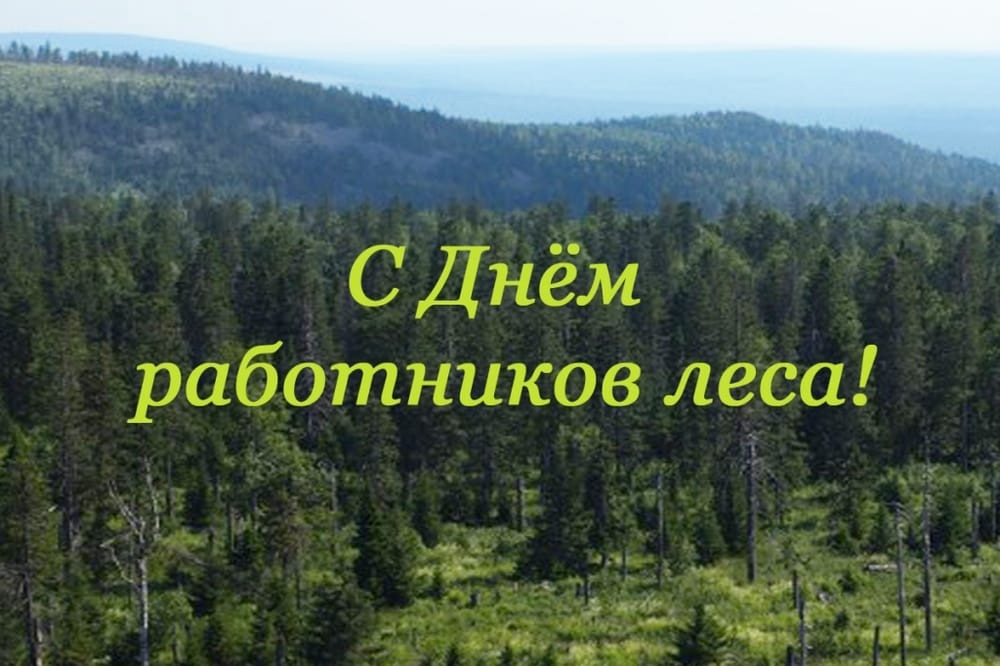 Поздравление с днем работников лесного хозяйства.